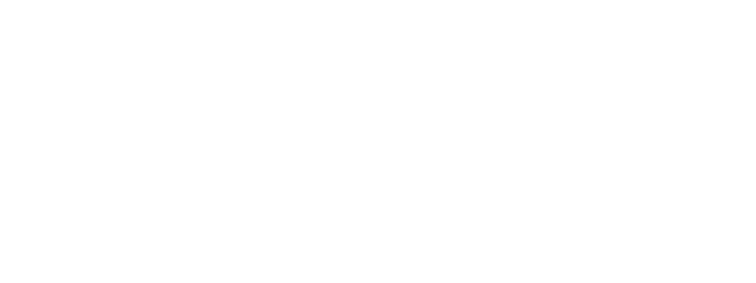 Diamond Cleaning Pro